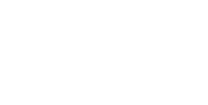 Bizdata Insight